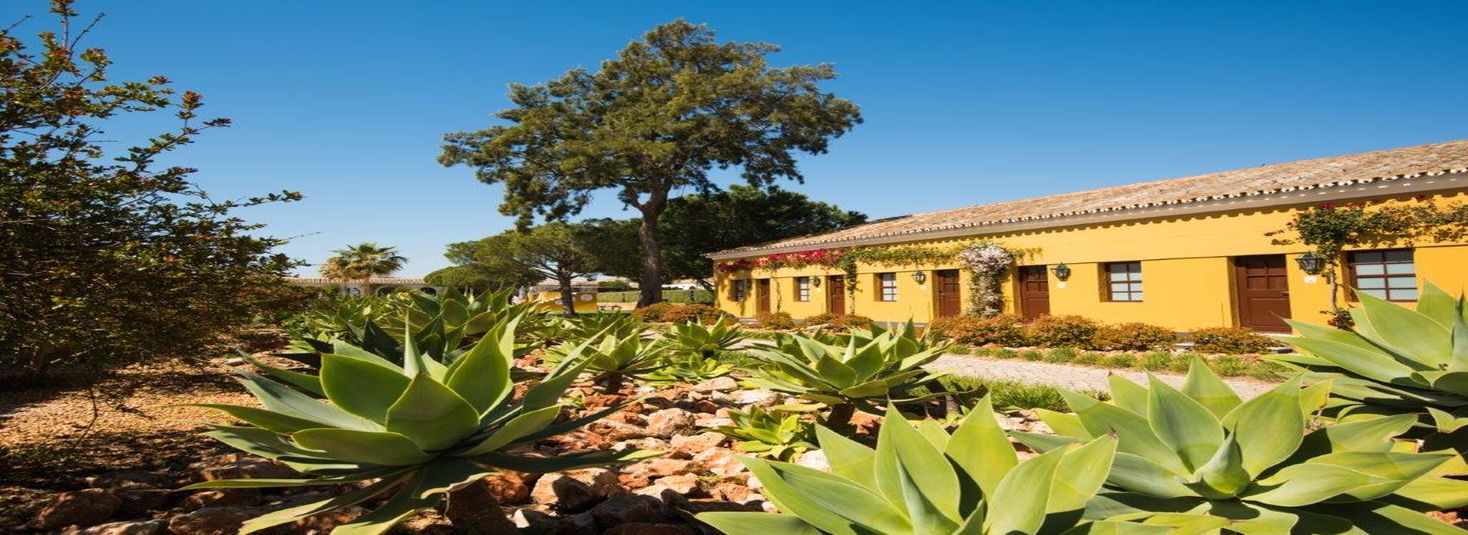 Vila Gale Albacora