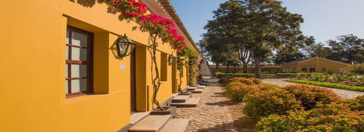 Vila Gale Albacora